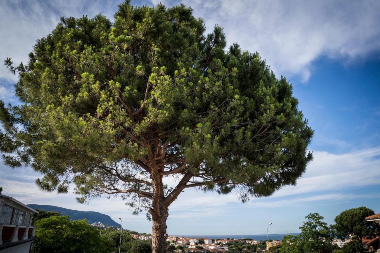 Aparthotel Balconi Del Conero Numana Esterno foto